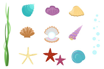 Seashells and starfish set. Vector collection of underwater elements on white background