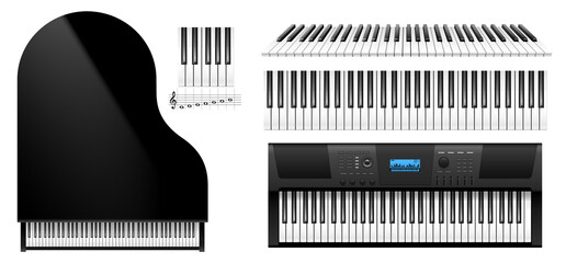 Piano keys top view. Realistic keyboard of classic piano instrument and electric synthesizer © Iryna Petrenko