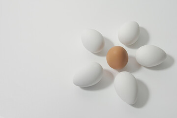 Six chicken eggs, five white and one brown in the shape of a flower. Easter eggs