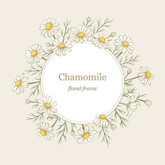 Chamomile flowers round frame, line art drawing. Daisy wild flowers in gentle pastel colors. Floral vector border