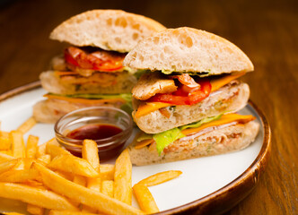 A chicken sandwich with some french fries on a plate.