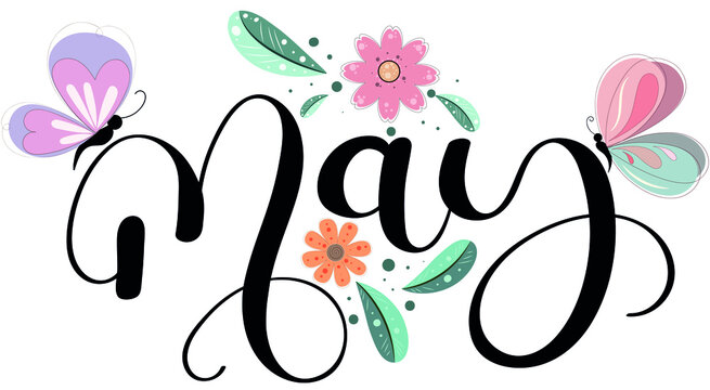 Hello May text hand lettering. MAY month vector with flowers, butterflies  and leaves. Decoration floral. Illustration month may Stock Vector | Adobe  Stock