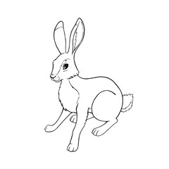 Cute hare in black and white, coloring Antistress, graphics, tattoo