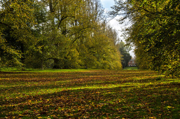 Naklejka premium Autumn park view