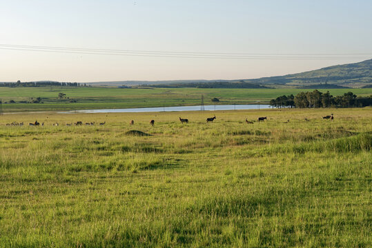 S&uuml;dafrika - Provinz KwaZulu-Natal - allgemein