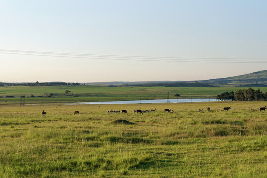 S&uuml;dafrika - Provinz KwaZulu-Natal - allgemein
