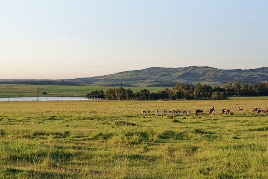 S&uuml;dafrika - Provinz KwaZulu-Natal - allgemein