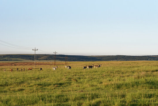 S&uuml;dafrika - Provinz KwaZulu-Natal - allgemein