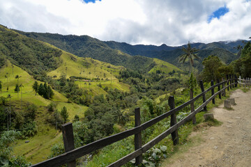 Fototapeta na wymiar Cocora Valley, Colombia