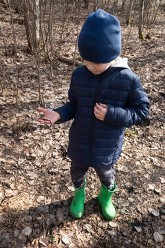 boy holding a worm in his hands, spring day. concept of outdoor recreation and travel.