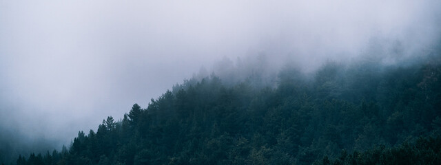 Panoramic view of misty foggy mountain landscape with fir forest trees and copyspace in gloomy morning atmosphere. Pine trees, dark tone, vintage and retro style.