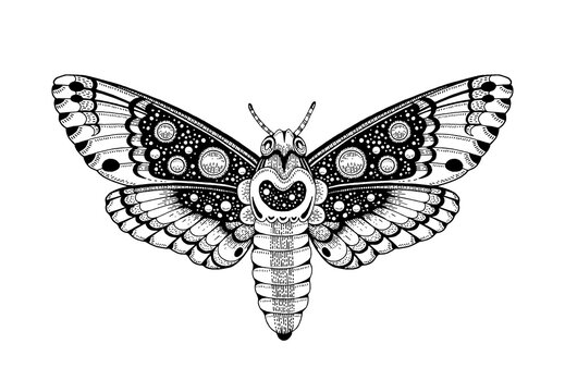Moth tattoo. Butterfly vector black art. Universe wing moth. Celestial occult moon sketch. Line animal drawing design.