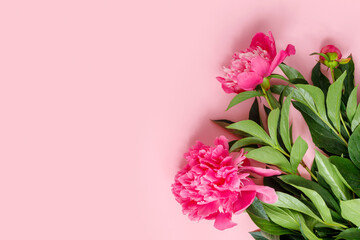 Bouquet of beautiful peonies  on pink delicate paper background.