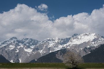 Fototapeta na wymiar Frühlingslandschaft am Mieminger Plateau in Tirol