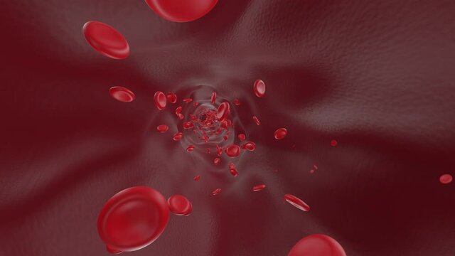 Blood Vessel: Drug Delivery