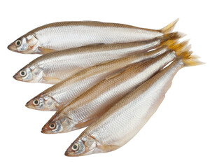 smelt fish, isolated on white background, clipping path, full depth of field