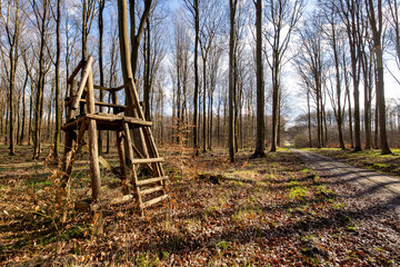 A wooden hunting pulpit in the forest. Wooden structure built in the forest for hunters.