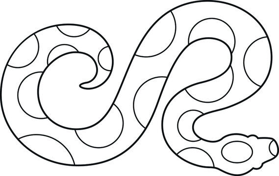 Top View of Ball Python Simple Outline Abstract Design
