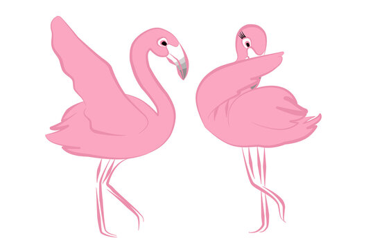 Line art illustration Flamingos dance. Couple  pink Flamingo