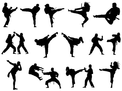 141 Best 空手家 Images Stock Photos Vectors Adobe Stock