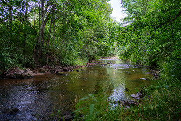 Fototapeta na wymiar slow forest river in summer green woods with rocks in stream