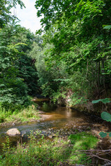 Fototapeta premium slow forest river in summer green woods with rocks in stream