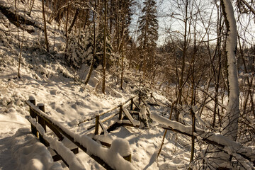 magical winter forest with trees under snow cover