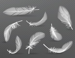 Realistic angel or bird soft feather falling set