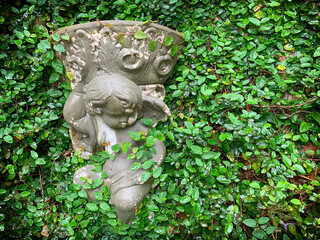 Vintage cherub garden sculpture in ivy plants, Southern U.S.