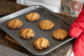Freshly baked Anzac biscuits on baking tray.