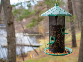 Bird feeder hanging in the forest. Trees in the background are blurred.