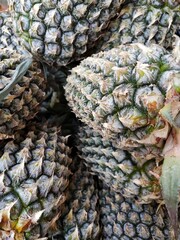 Pineapple in a market