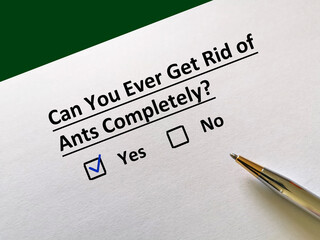 Obraz premium Questionnaire about insects