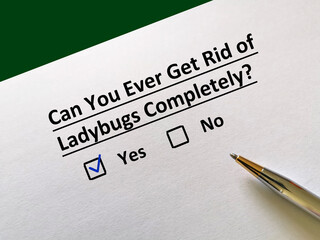 Questionnaire about insects