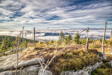 foggy view at sundown on mount Dreisessel, a mountain in the bavarian forest