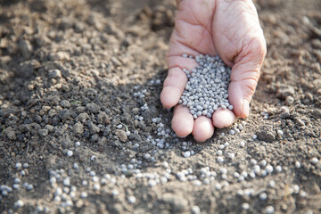 肥料をまく手