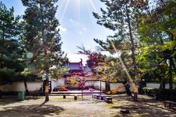 宇治、萬福寺とその周辺の情景