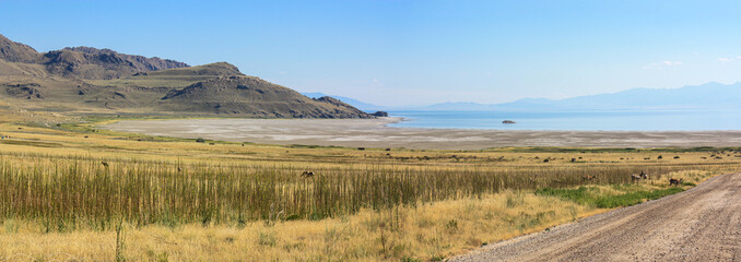 The Great Salt Lake landscape