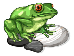 Close up of a frog on stones leaf isolated