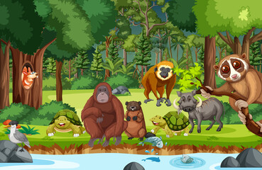 Rainforest scene with wild animals