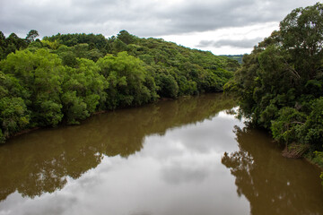 Fototapeta na wymiar river and forest