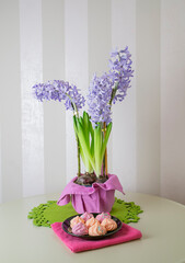 Spring Easter still life with hyacinths, chickens and meringues.
