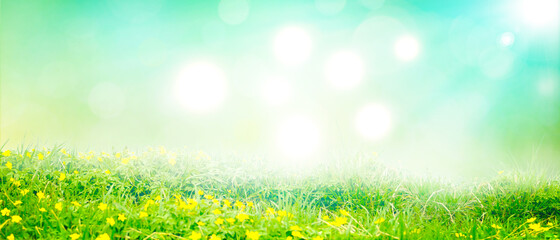 Obraz premium Spring and summer panorama with copy space.