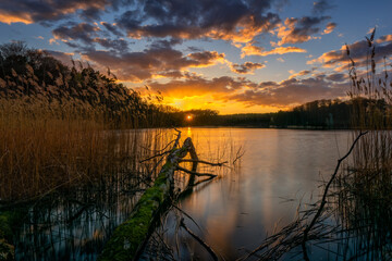 Sonnenuntergang am See mit Baumstamm