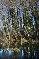 Obraz premium Beautiful views of Saint Naum area in Lake Ohrid, Macedonia.