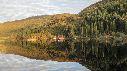 reflection in the water