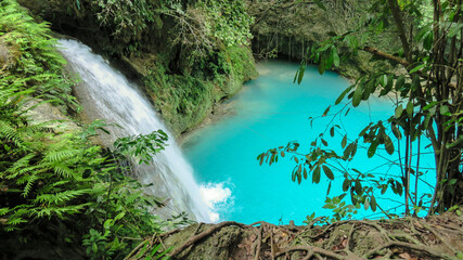 waterfall in the jungle