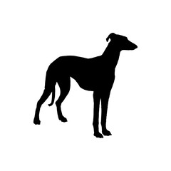 Dog logo icon vector template