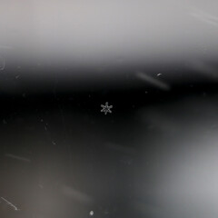 snow flake