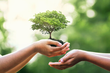 hand holding tree on blur green nature background. concept eco earth day